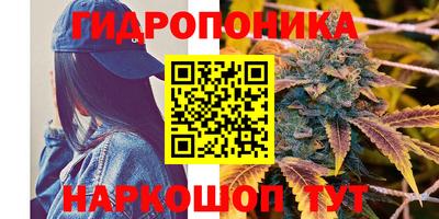 бошки Аргун