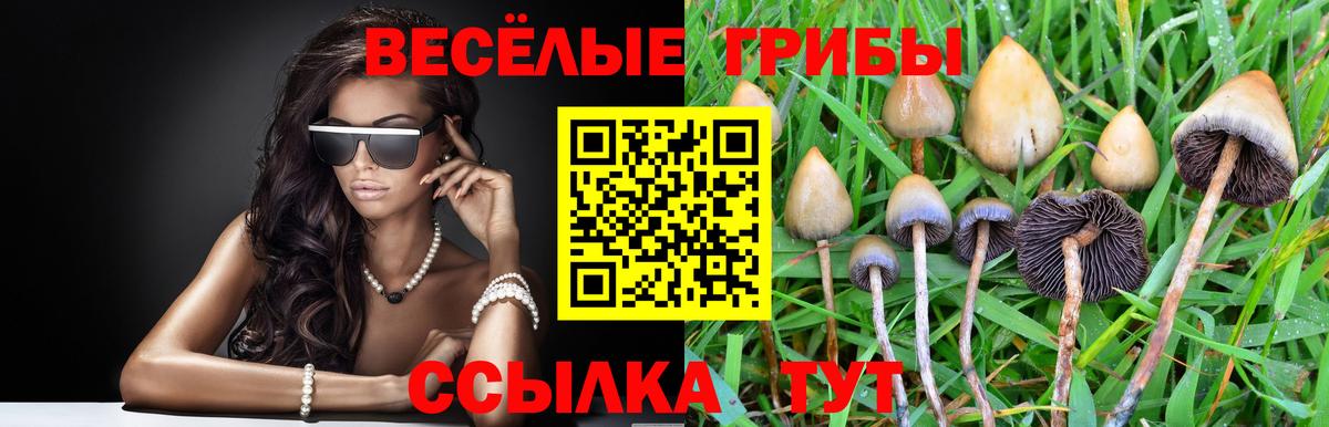 Галлюциногенные грибы мухоморы  Вход с VPN  Ачхой-Мартан 